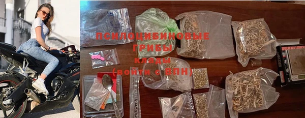 бошки Аркадак