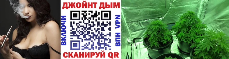 mega Галич Бошки Шишки план